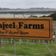 farm gate sign showing fixings of wood to farm gate, link to facebook